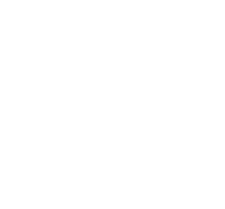 Tainui Group Holdings